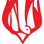 sms logo